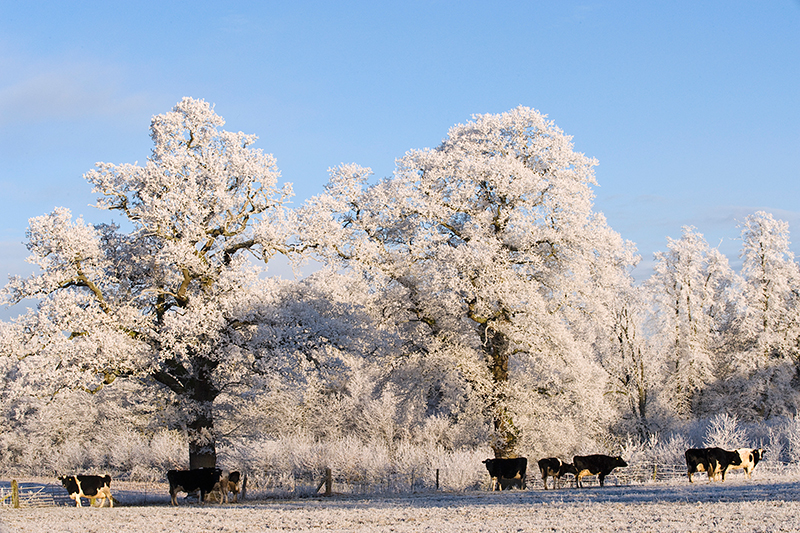 5 Top Tips To Help You Find The Perfect Winter Wedding Venue Uk