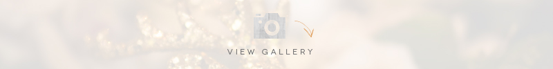 gold-sparkle-winter-wedding-inspiration-jan-clarke-neil-redfern-photography-styal-lodge-coco-wedding-venues-view-gallery