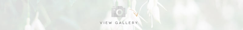 rustic-elegance-wedding-inspiration-coco-wedding-venues-theresa-furey-photography-view-gallery