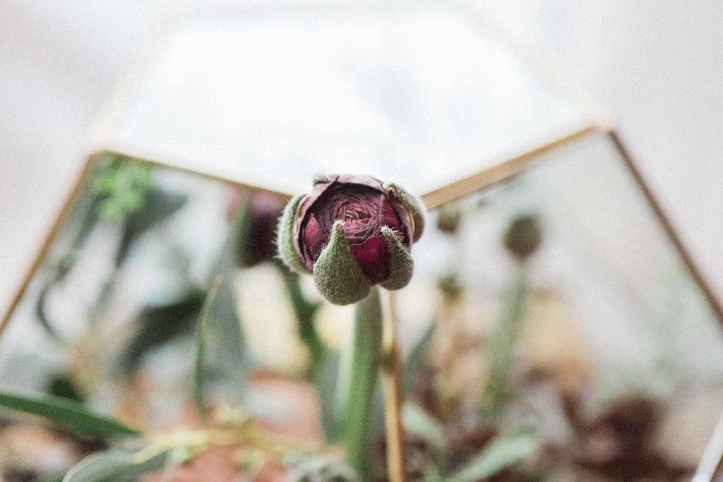 boho wedding props