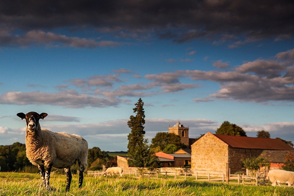 Dodford Manor