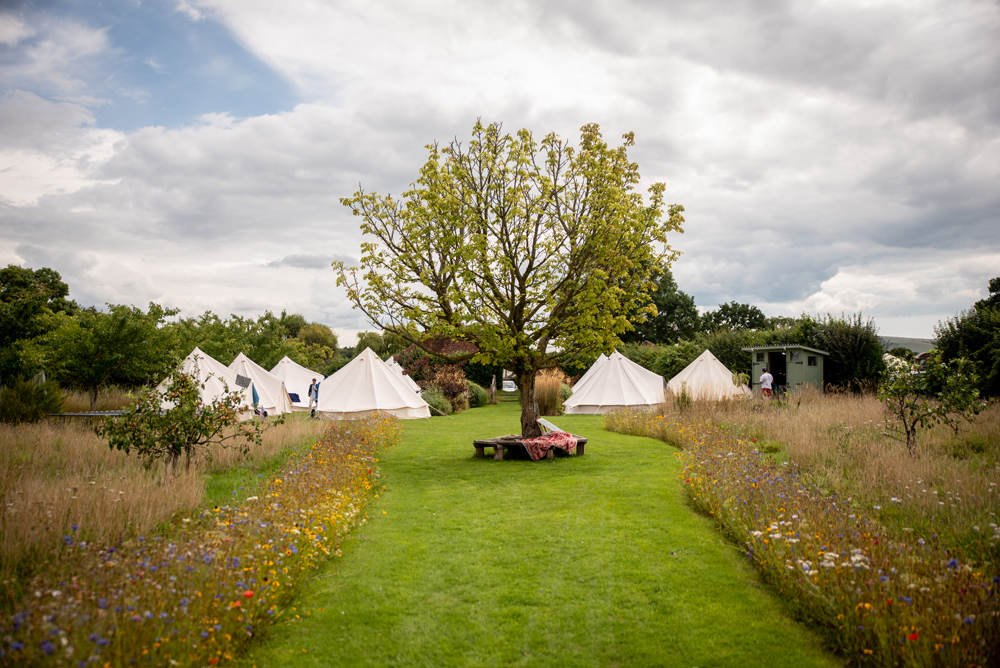 Wonderland Festival Weddings