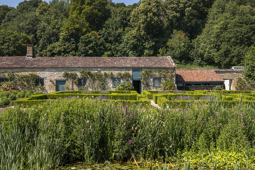 Newton Surmaville