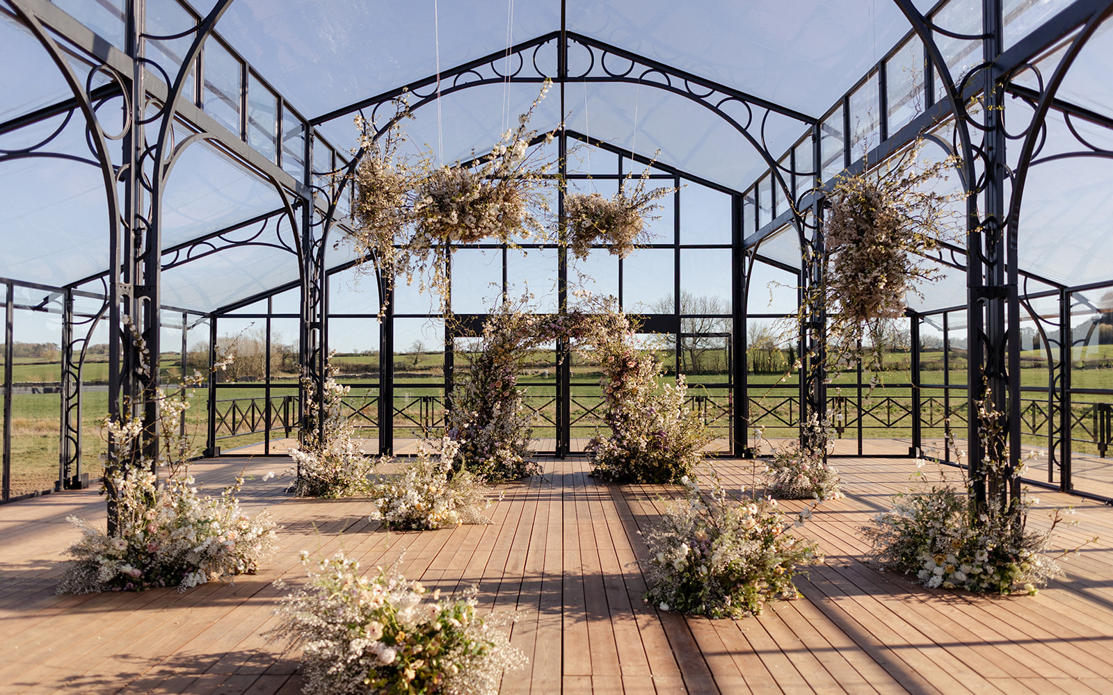 Minerva Vines