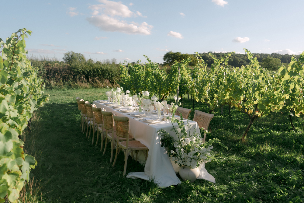 Minerva Vines