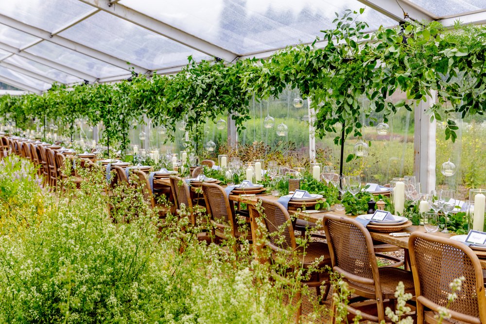 The Walled Garden