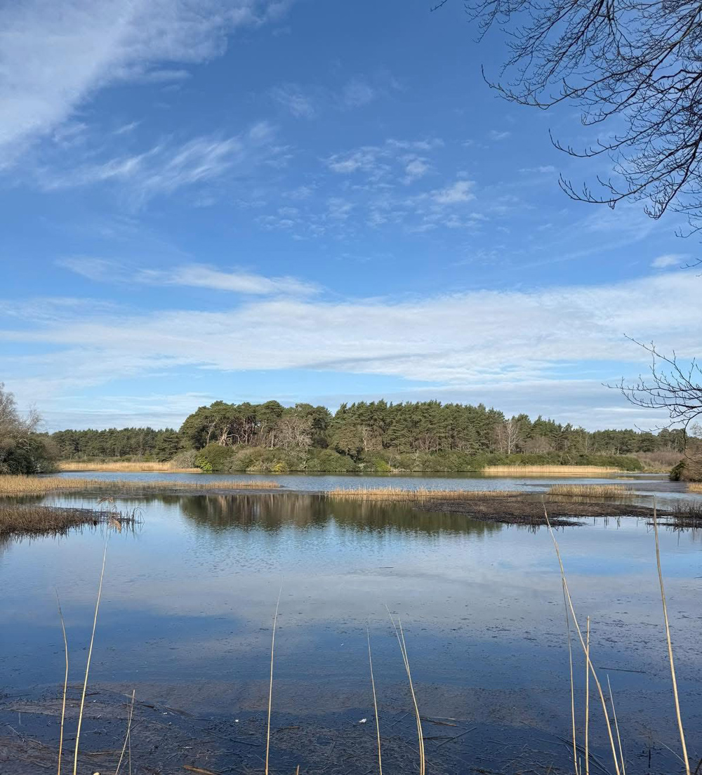 Morden Lake